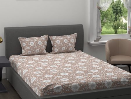 MYTRIDENT Brown White Ethnic Motifs 200 TC Cotton 1 King Bedsheet with 2 Pillow Covers on Sale