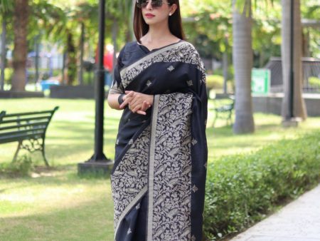 Aastha Fashion Black Woven Handloom Raw Silk Saree with Blouse Online Sale