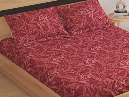 Home Centre Red Ethnic Motifs Cotton 150 TC King Bedsheet With 2 Pillow Covers Online now