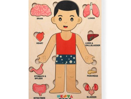 Nesta Toys Human Body | Internal Organs Wooden Puzzle Online now